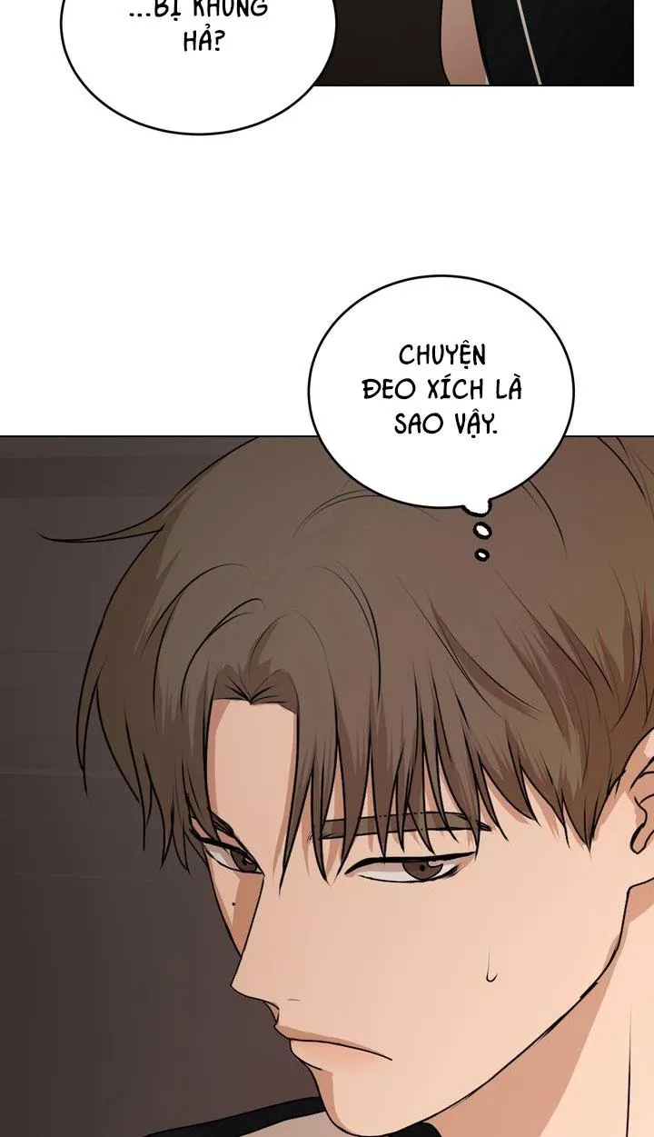 BÁNH QUY TÌNH YÊU TAN CHẢY Chapter 8 Trang 43