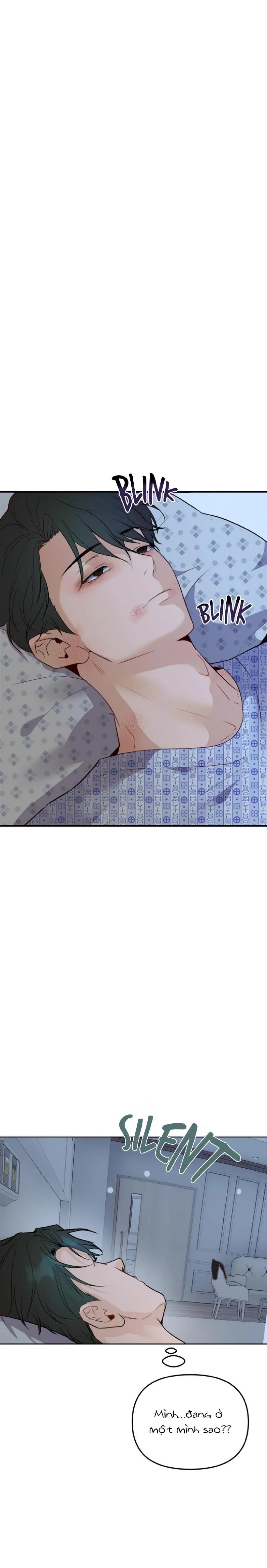 Báo Cáo Chụp Tuyến Tiền Liệtt Chapter 5 Trang 16