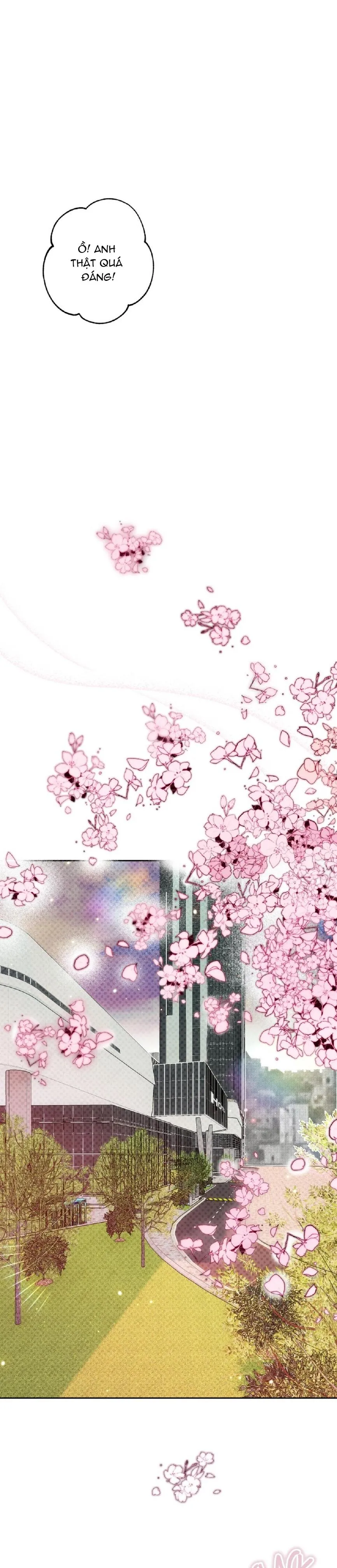 Báo Cáo Chụp Tuyến Tiền Liệtt Chapter 5 Trang 29