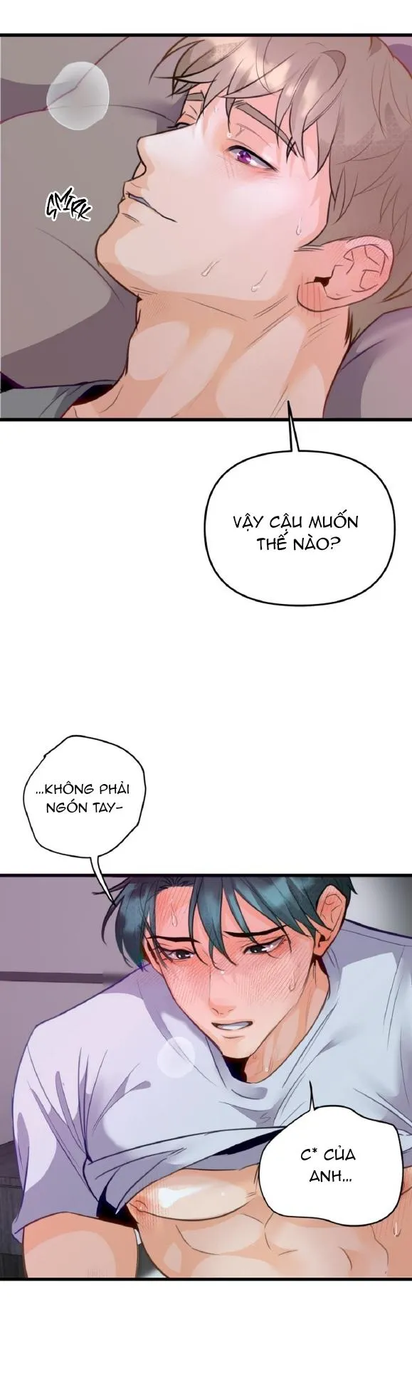 Báo Cáo Chụp Tuyến Tiền Liệtt Chapter 6 Trang 12