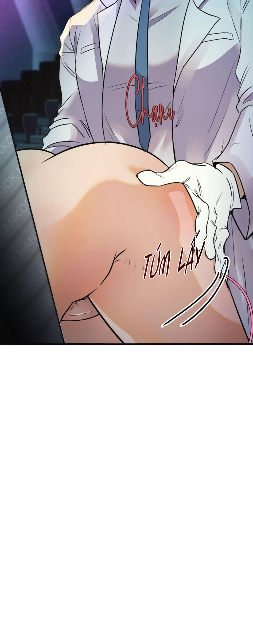 Báo Cáo Chụp Tuyến Tiền Liệt Chapter 1 Trang 12