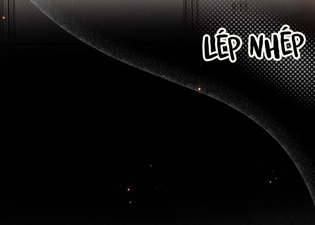 Báo Cáo Chụp Tuyến Tiền Liệt Chapter 2 Trang 9