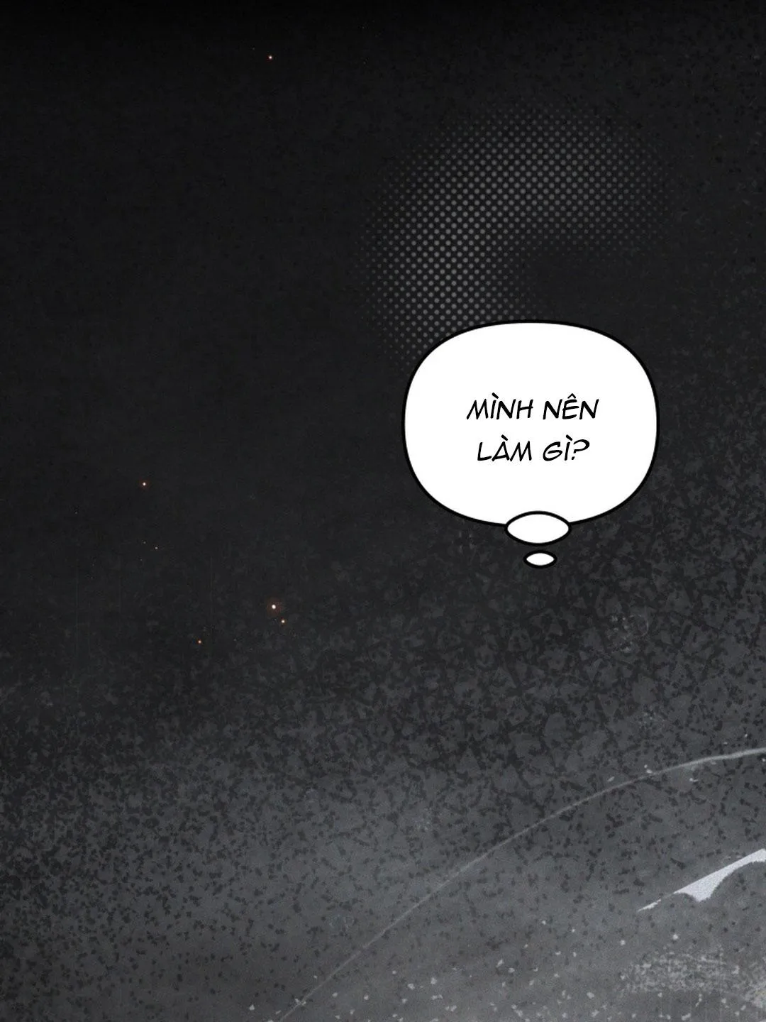 Báo Cáo Chụp Tuyến Tiền Liệt Chapter 2 Trang 10