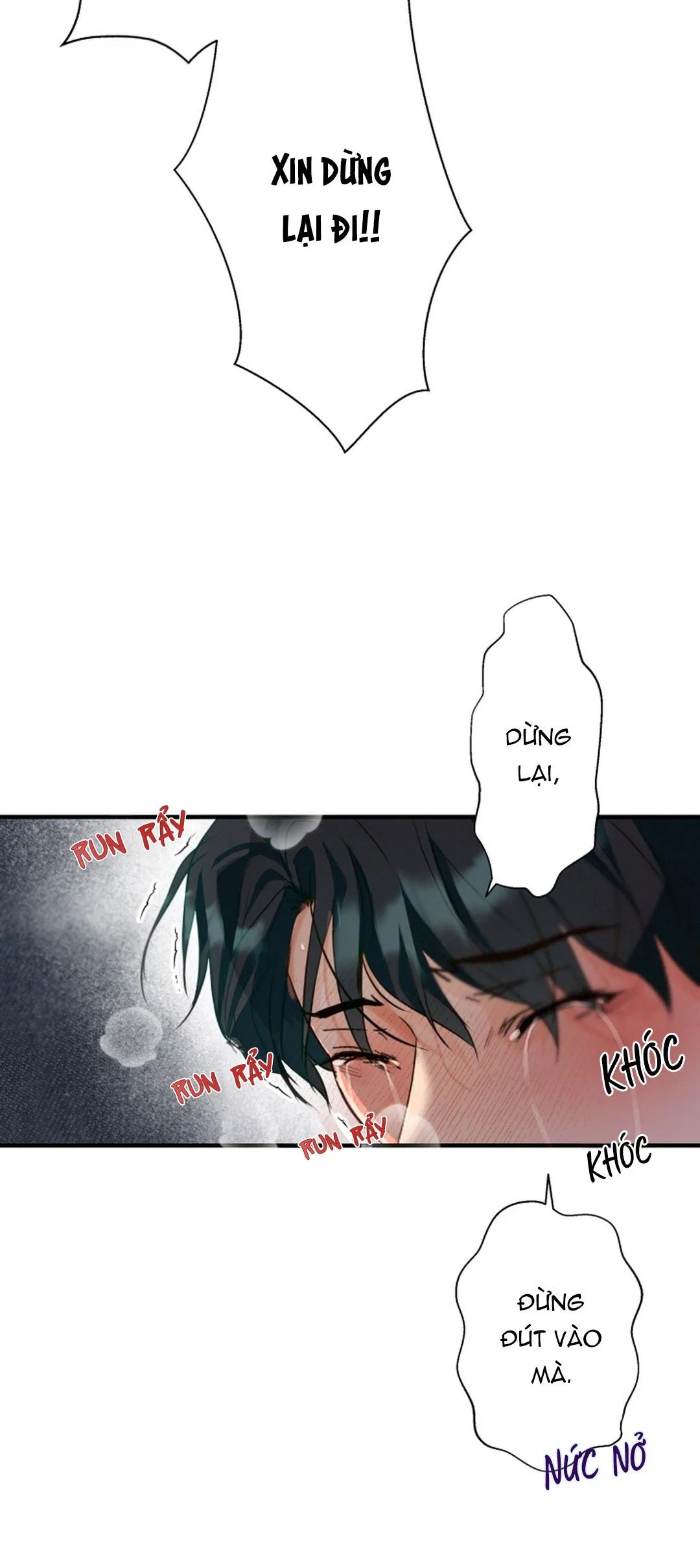 Báo Cáo Chụp Tuyến Tiền Liệt Chapter 4 Trang 29