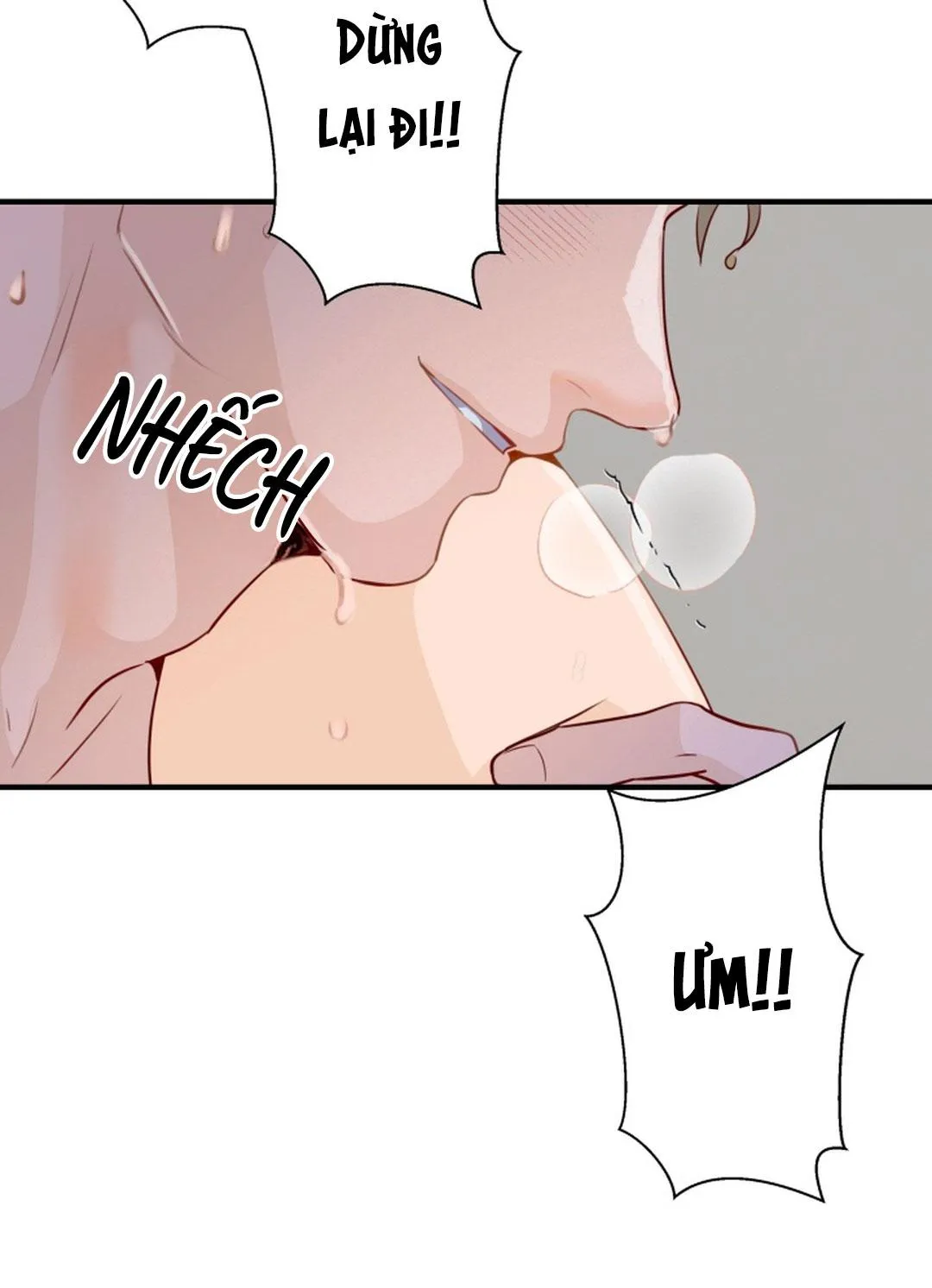 Báo Cáo Chụp Tuyến Tiền Liệt Chapter 5 Trang 12