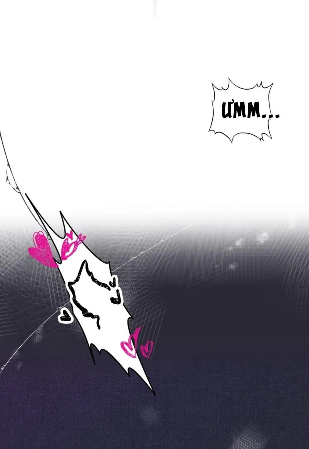 báo cáo thu thập dữ lệu về tuyến tiền liệt Chapter 0 Trang 13