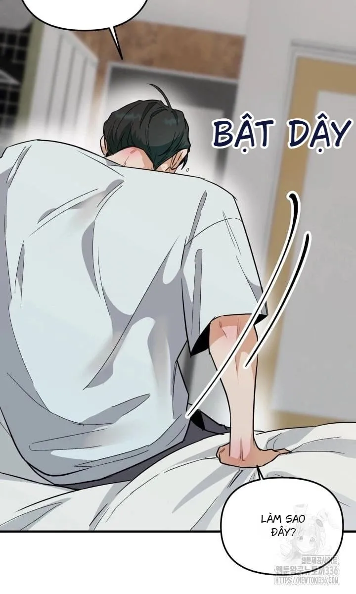 báo cáo thu thập dữ lệu về tuyến tiền liệt Chapter 2 Trang 4