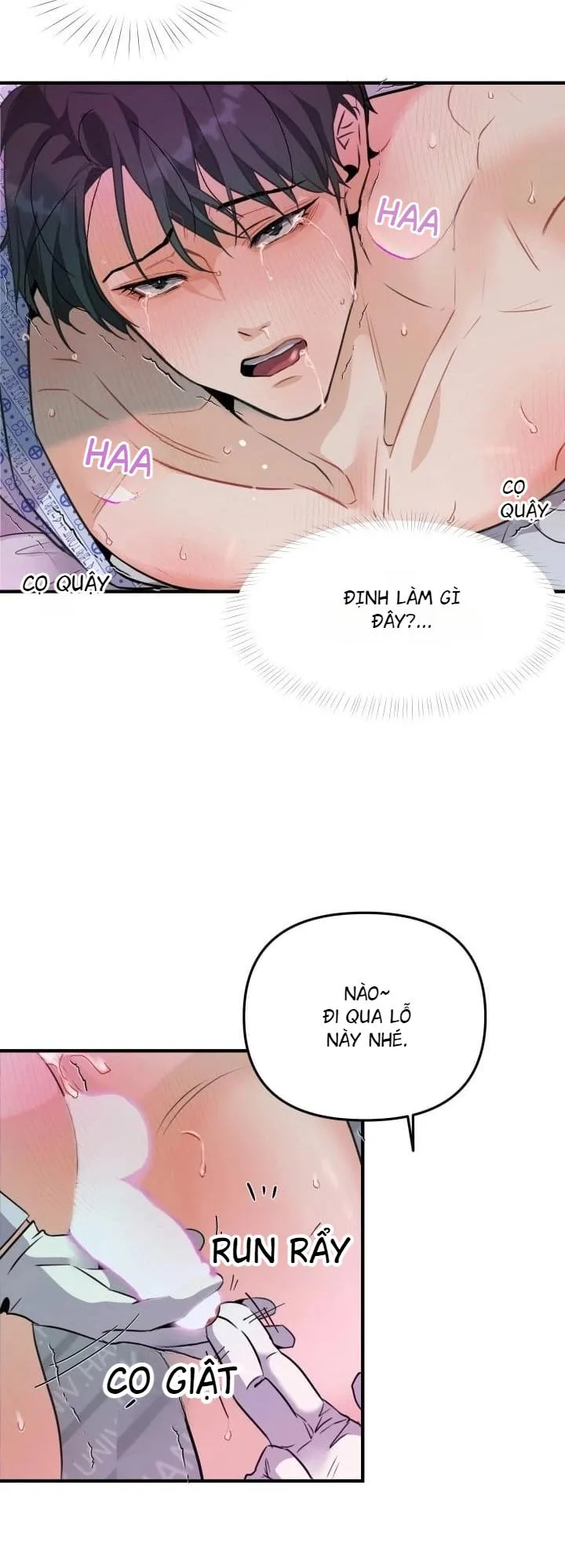 báo cáo thu thập dữ lệu về tuyến tiền liệt Chapter 3 Trang 48