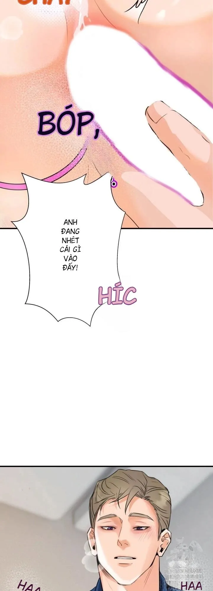 báo cáo thu thập dữ lệu về tuyến tiền liệt Chapter 4 Trang 15