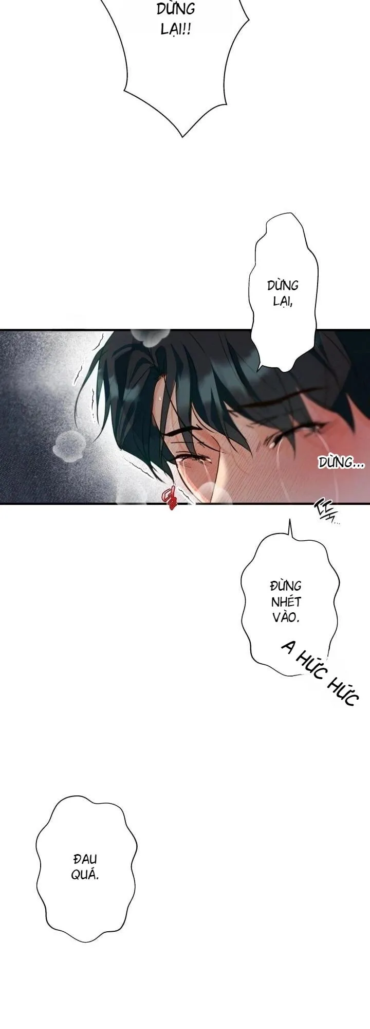 báo cáo thu thập dữ lệu về tuyến tiền liệt Chapter 4 Trang 25