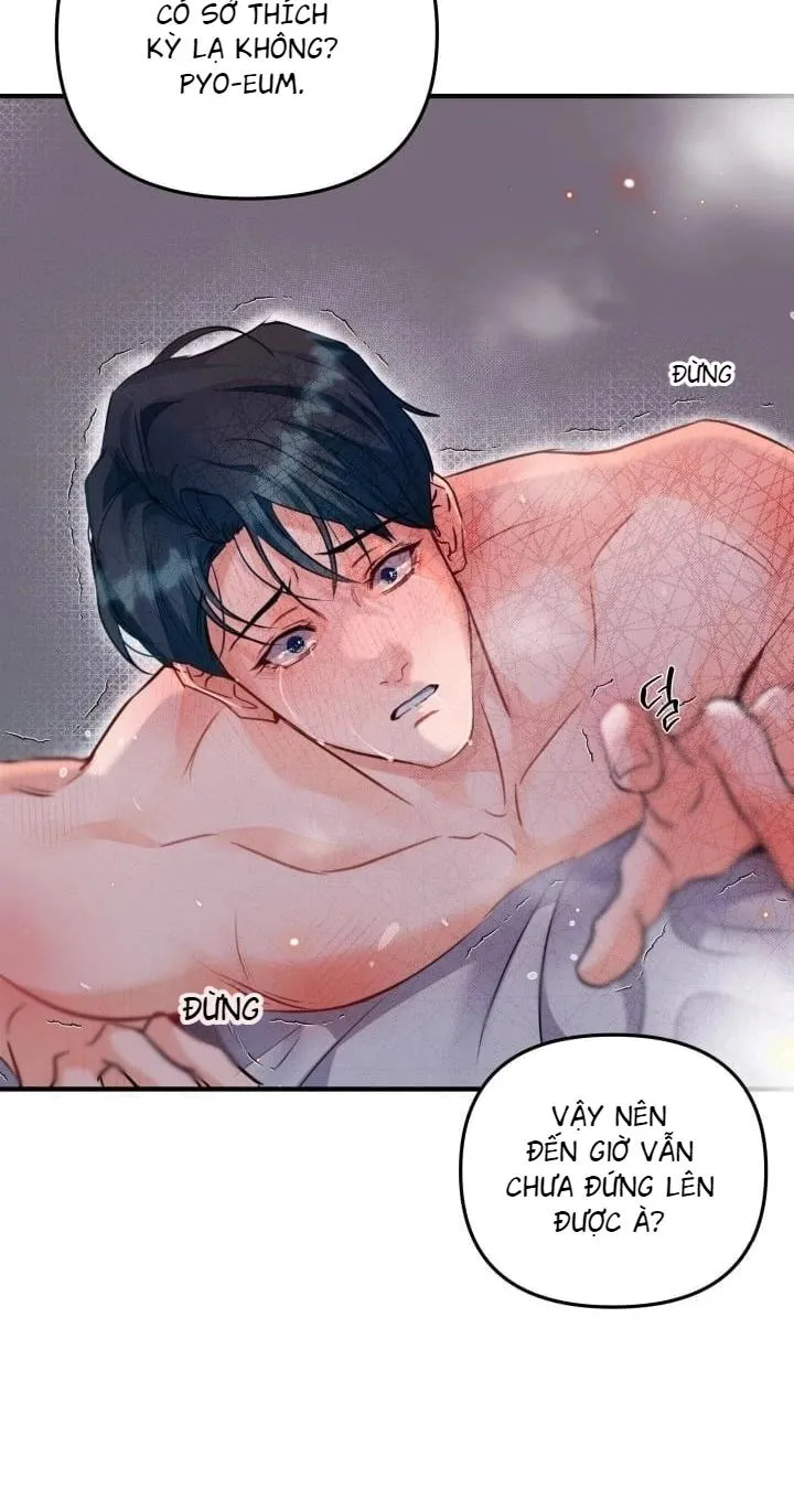 báo cáo thu thập dữ lệu về tuyến tiền liệt Chapter 4 Trang 35