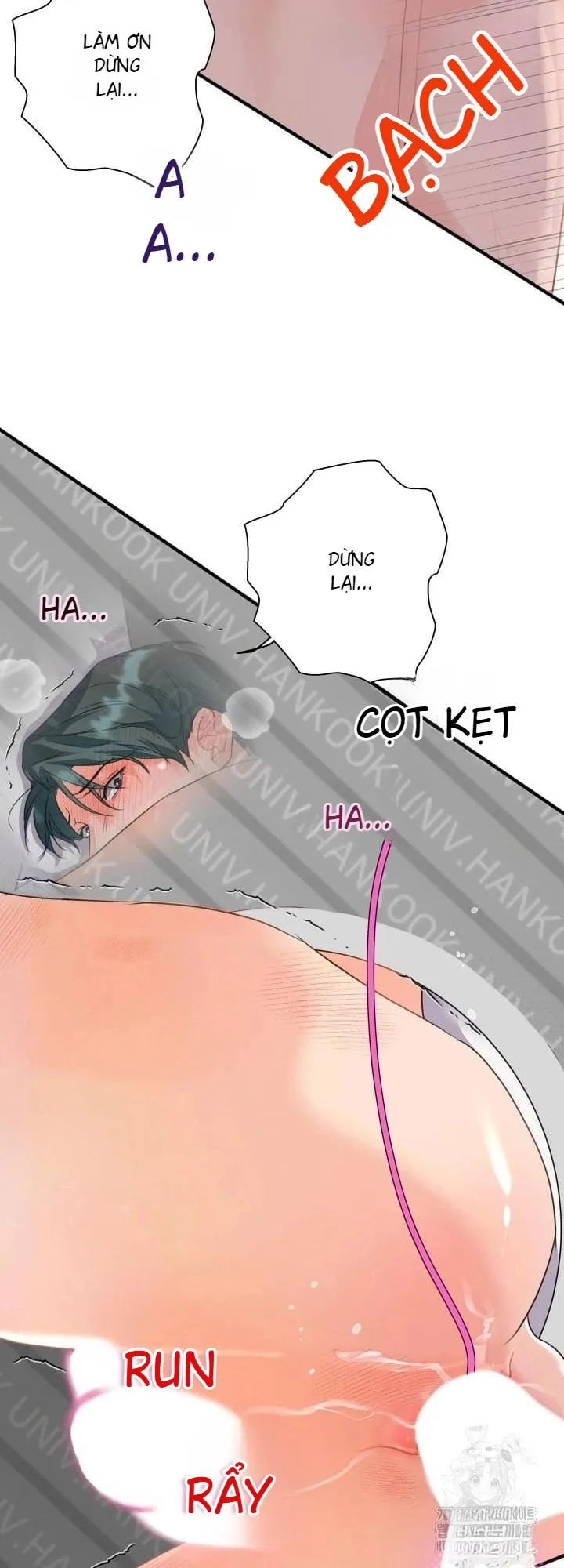 báo cáo thu thập dữ lệu về tuyến tiền liệt Chapter 4 Trang 51