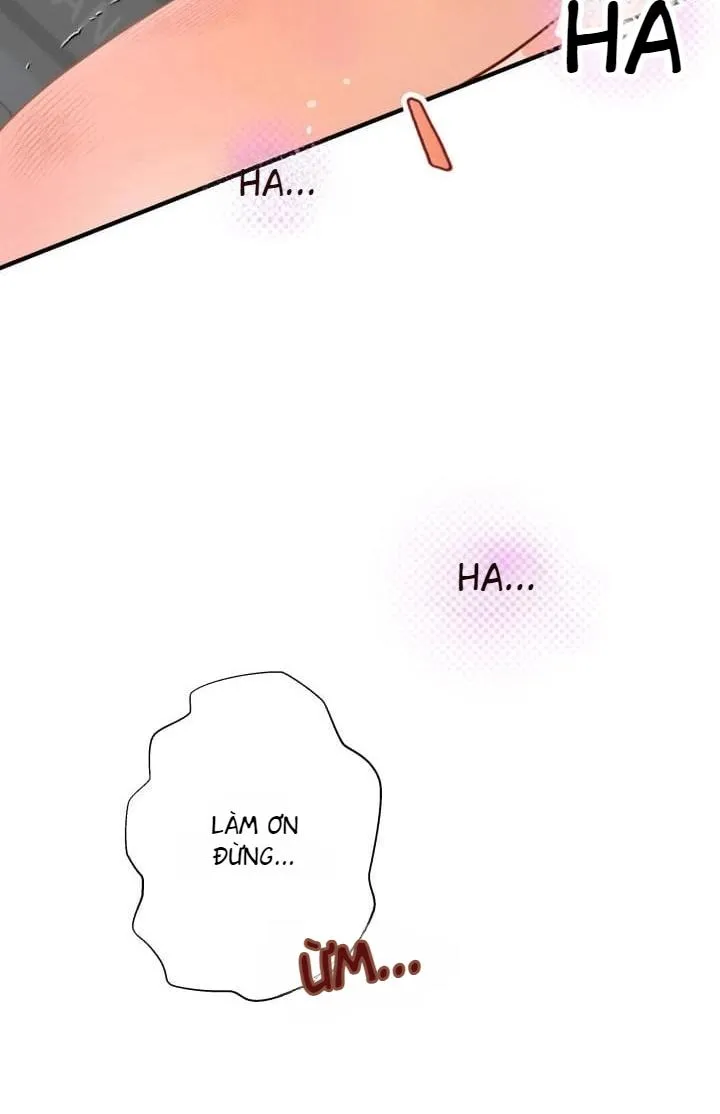 báo cáo thu thập dữ lệu về tuyến tiền liệt Chapter 4 Trang 52