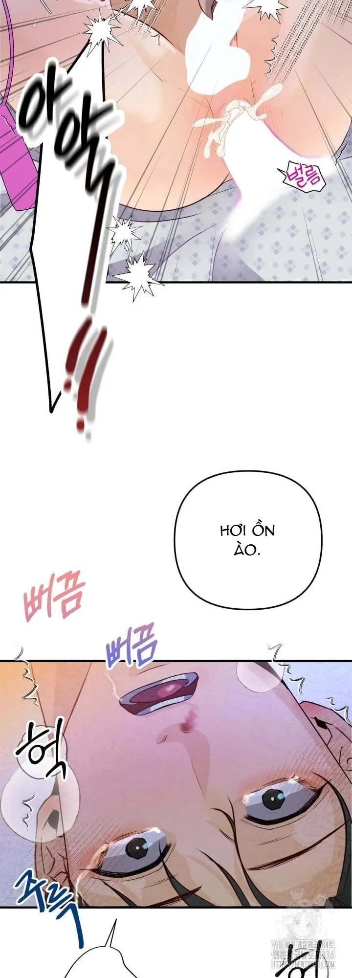 báo cáo thu thập dữ lệu về tuyến tiền liệt Chapter 5 Trang 14