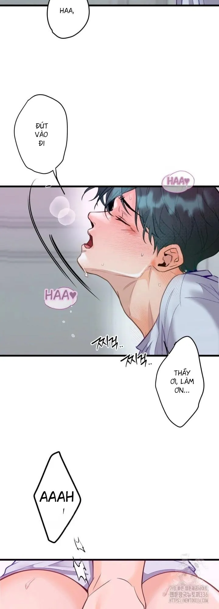 báo cáo thu thập dữ lệu về tuyến tiền liệt Chapter 6 Trang 19