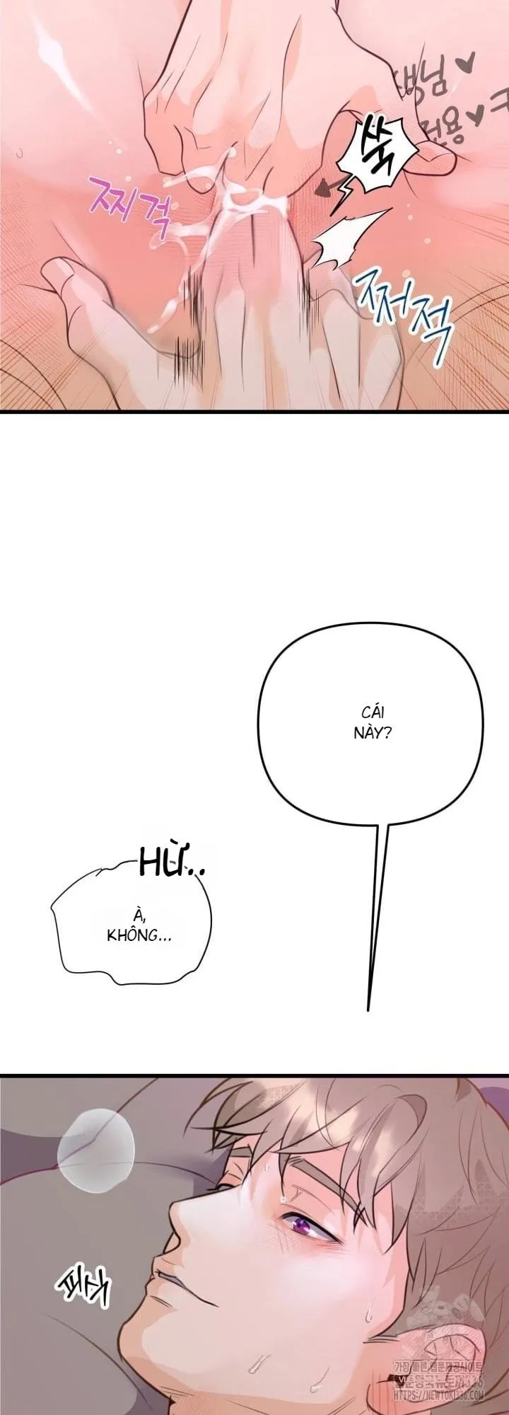 báo cáo thu thập dữ lệu về tuyến tiền liệt Chapter 6 Trang 20