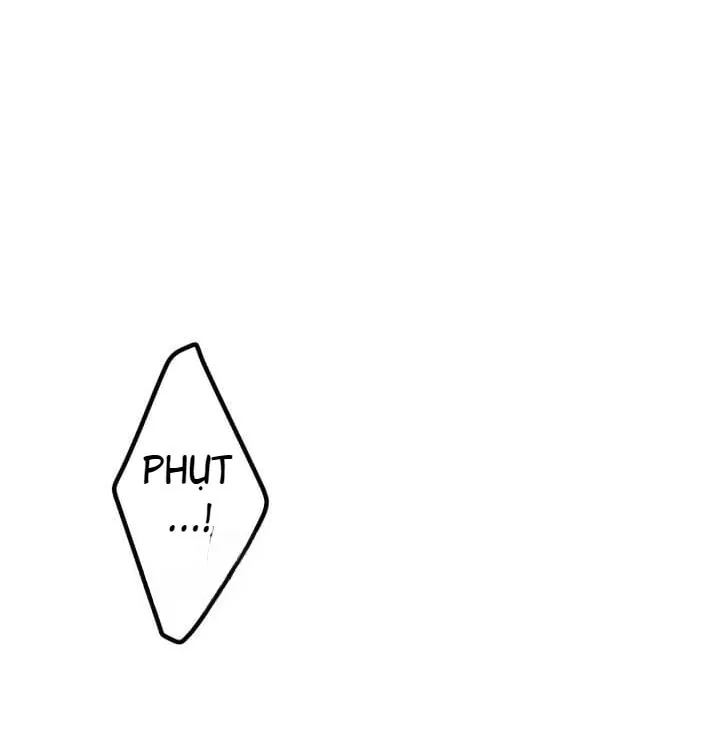 báo cáo thu thập dữ lệu về tuyến tiền liệt Chapter 6 Trang 27