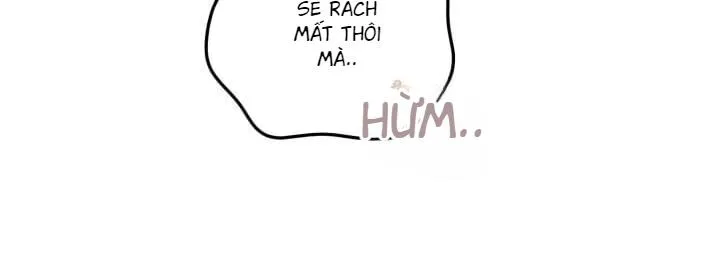 báo cáo thu thập dữ lệu về tuyến tiền liệt Chapter 6 Trang 35