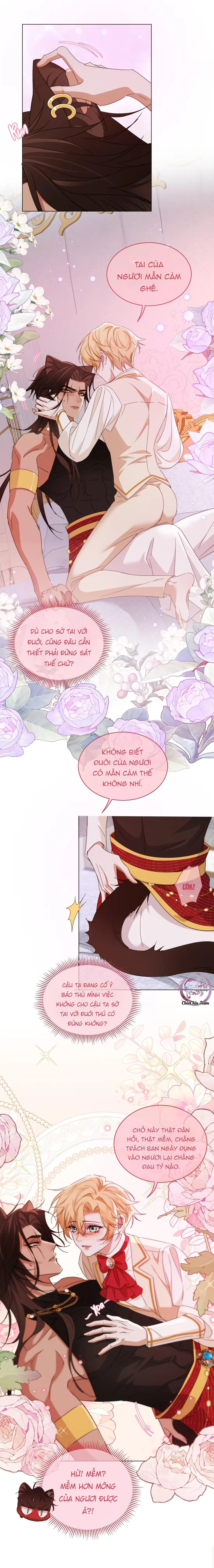 Báo Đen Chiếm Đoạt Hoàng Tử Yếu Đuối Chapter 9 Trang 9