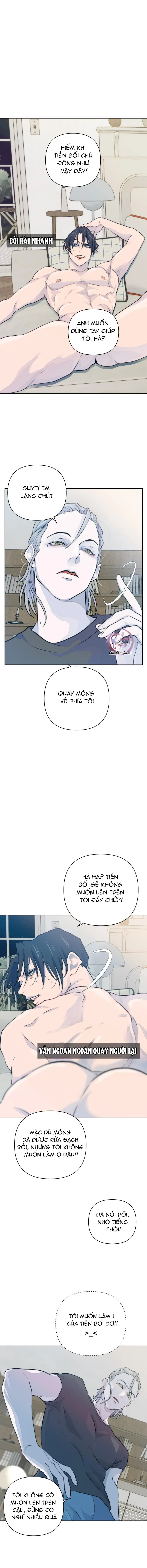 Bao Nuôi Tiền Bối Chapter 14 Trang 11