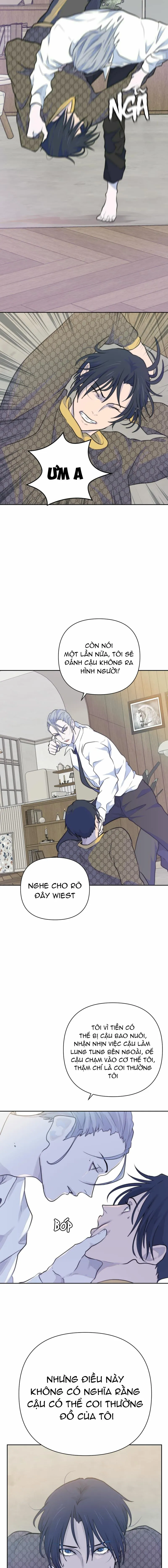 Bao Nuôi Tiền Bối Chapter 26 Trang 8