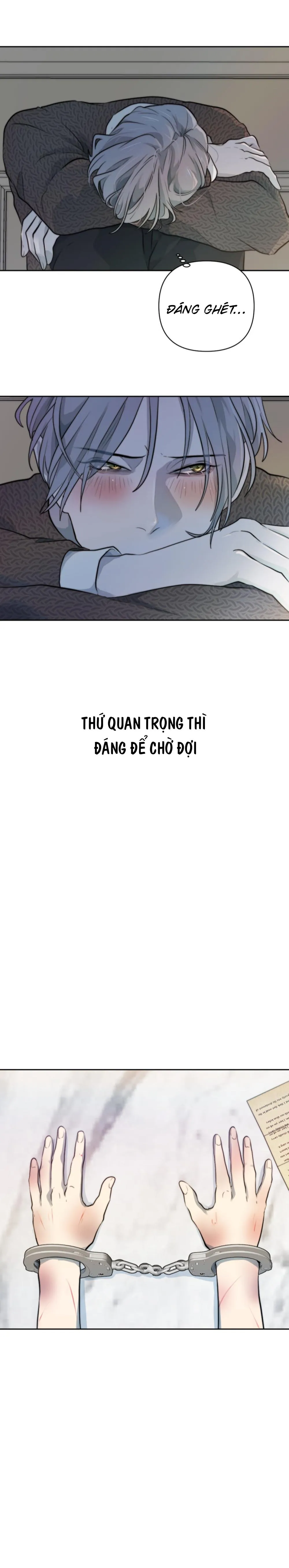 Bao Nuôi Tiền Bối Chapter 38 Trang 19