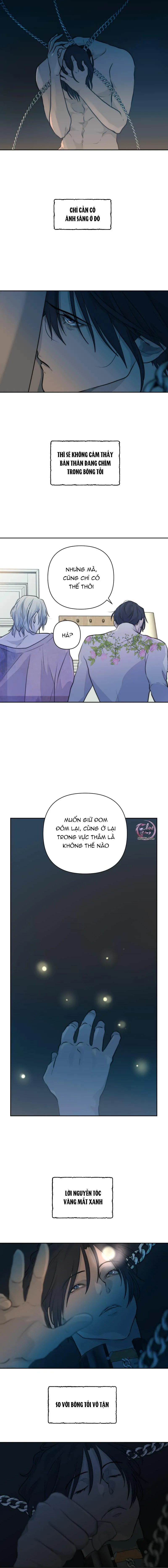 Bao Nuôi Tiền Bối Chapter 39 Trang 7