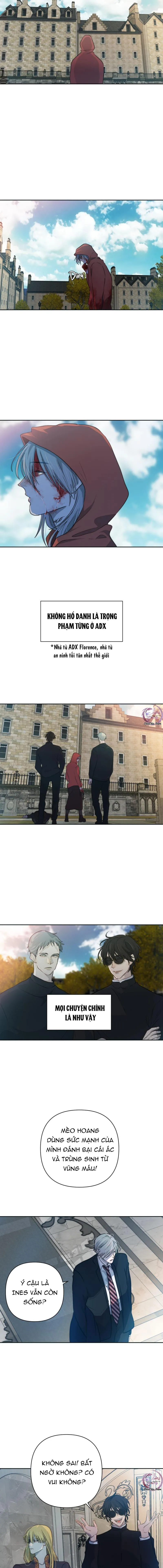 Bao Nuôi Tiền Bối Chapter 49 Trang 5