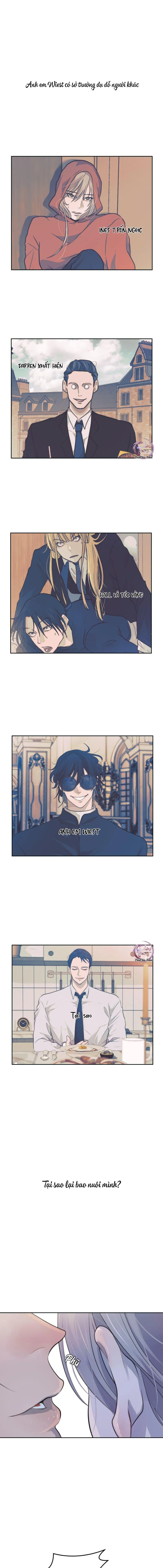 Bao Nuôi Tiền Bối Chapter 49 Trang 8