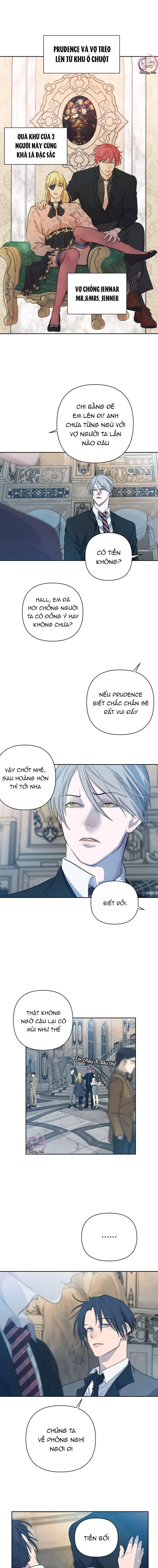 Bao Nuôi Tiền Bối Chapter 49 Trang 11
