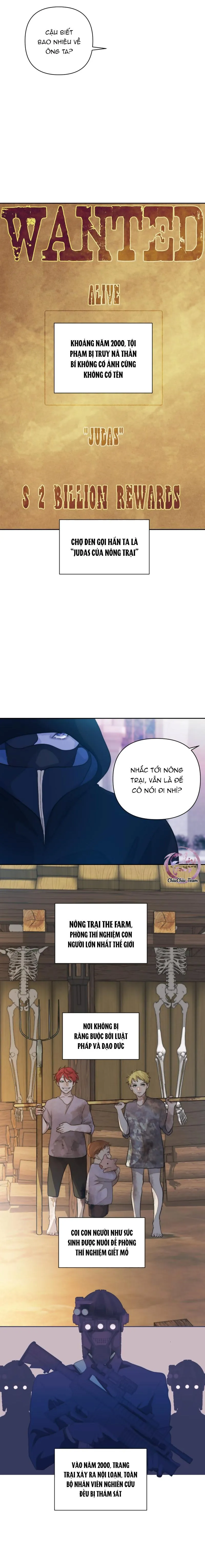 Bao Nuôi Tiền Bối Chapter 51 Trang 5