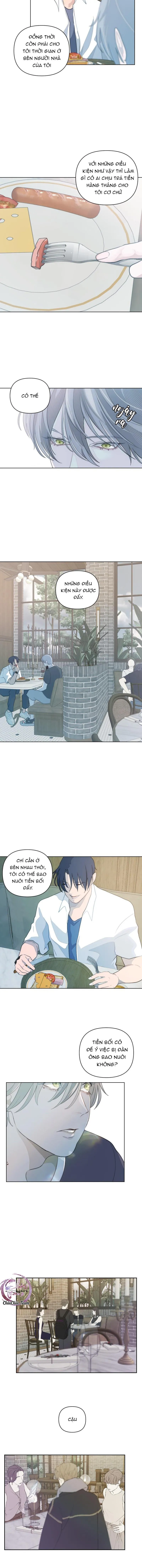 Bao Nuôi Tiền Bối Chapter 6 Trang 10