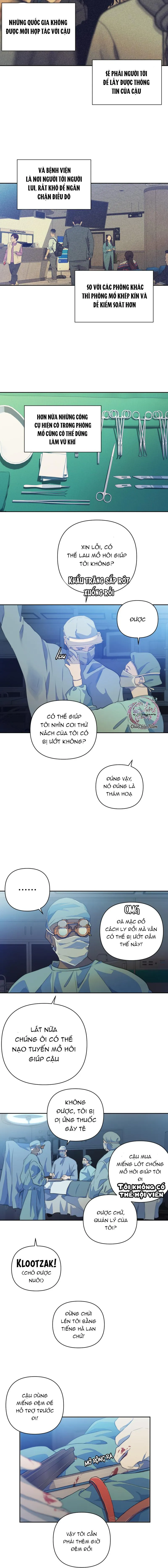 Bao Nuôi Tiền Bối Chapter 65 Trang 11