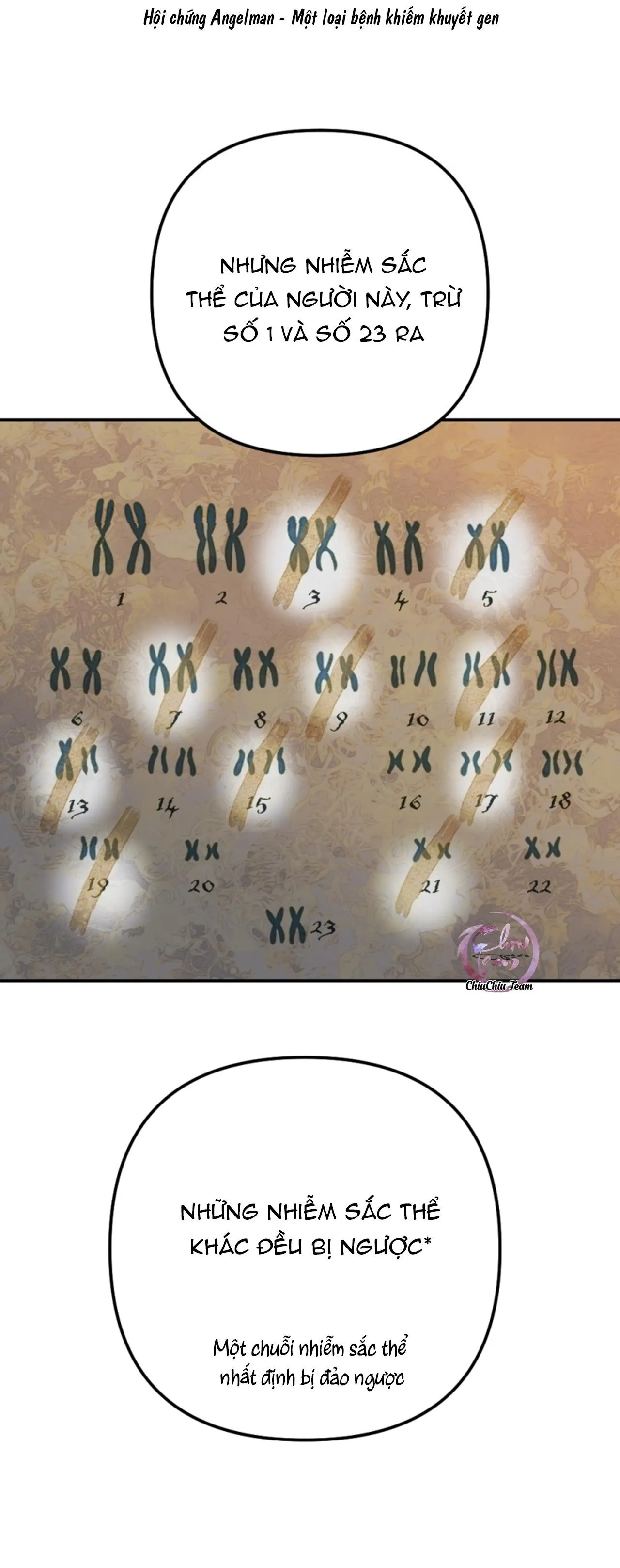 Bao Nuôi Tiền Bối Chapter 78 Trang 7