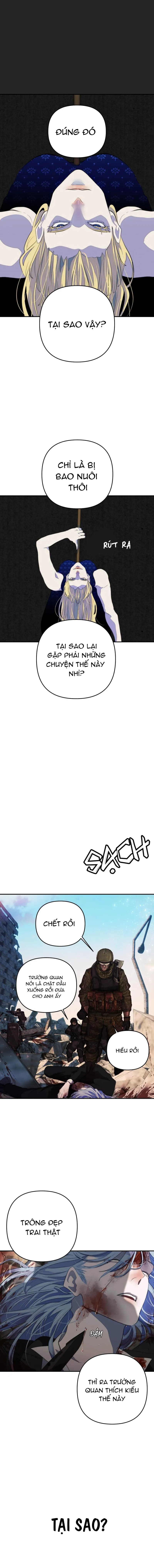 Bao Nuôi Tiền Bối Chapter 87 Trang 9