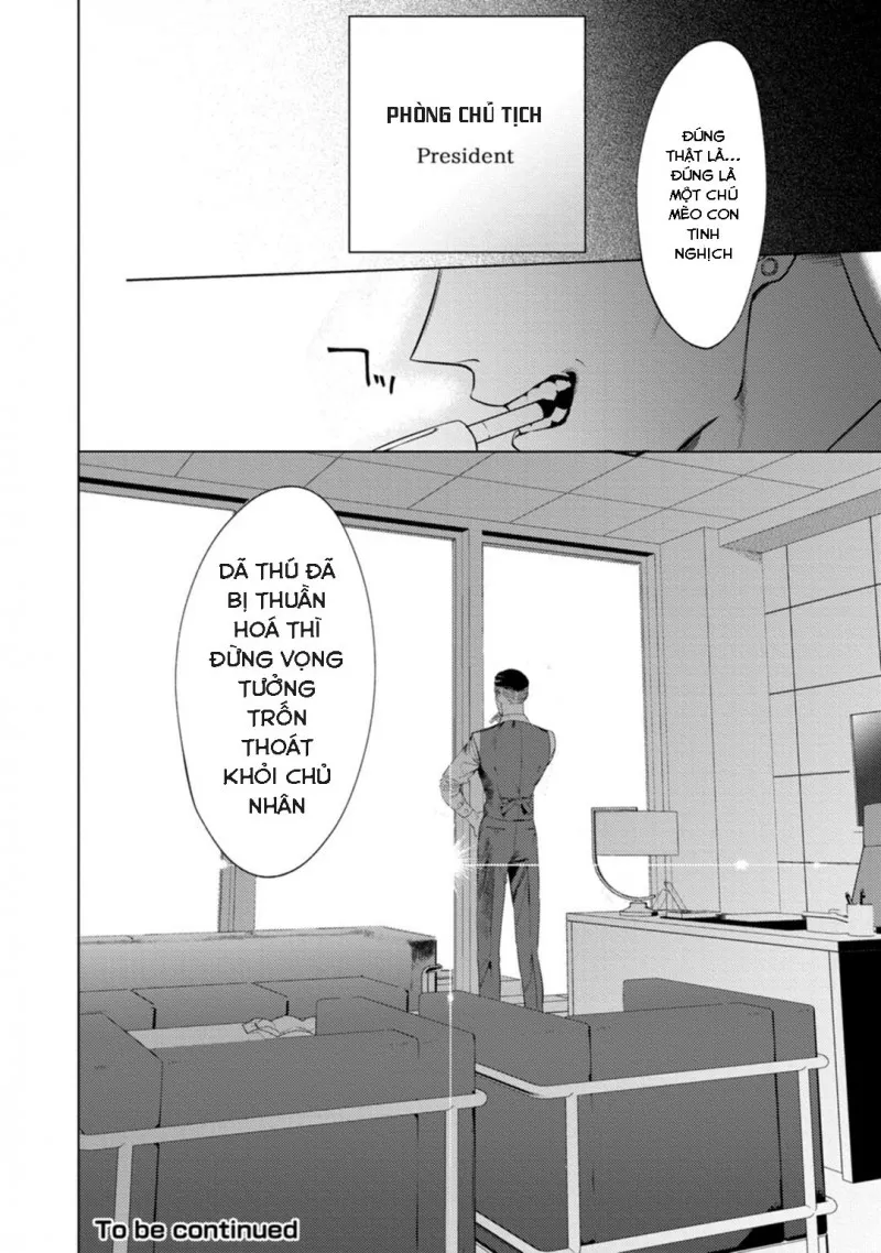 Báo Săn Nơi Công Sở Chapter 1 Trang 37