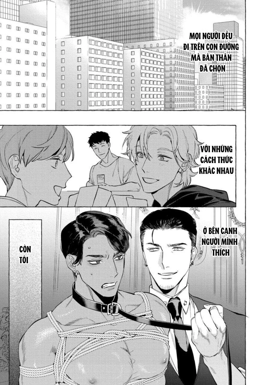 Báo Săn Nơi Công Sở Chapter 6 Trang 29