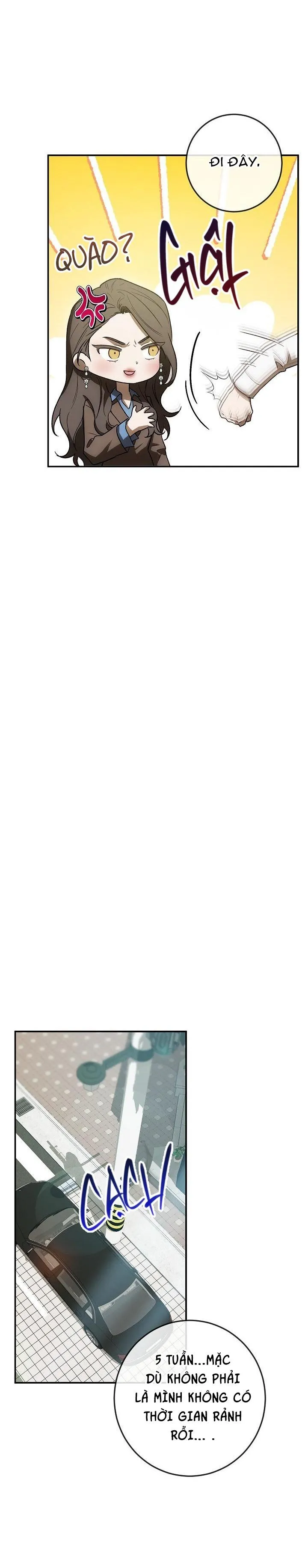 BẢO VẬT Chapter 13 Trang 8