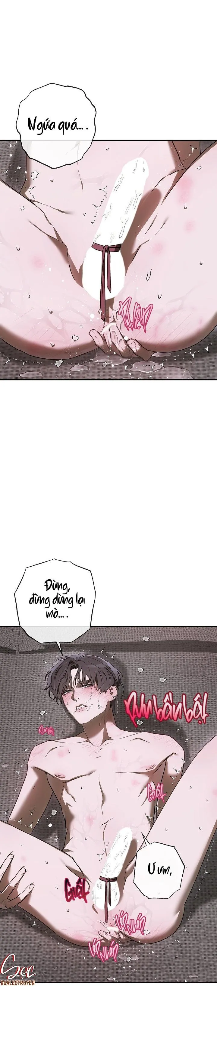 BẢO VẬT Chapter 23 Trang 23