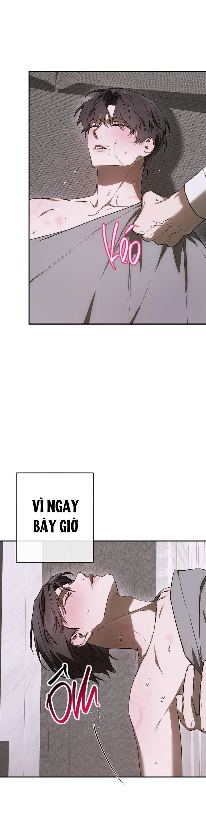 BẢO VẬT Chapter 23 Trang 31