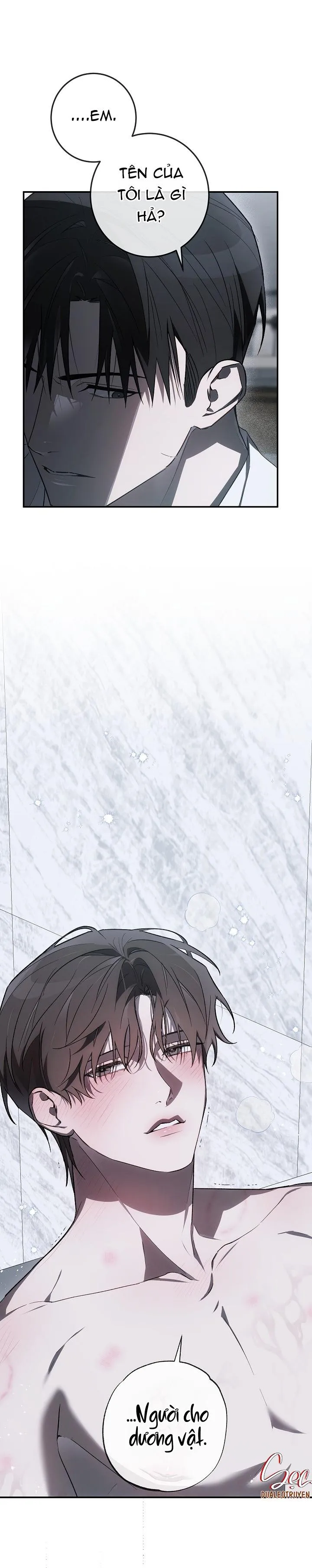 BẢO VẬT Chapter 23 Trang 41