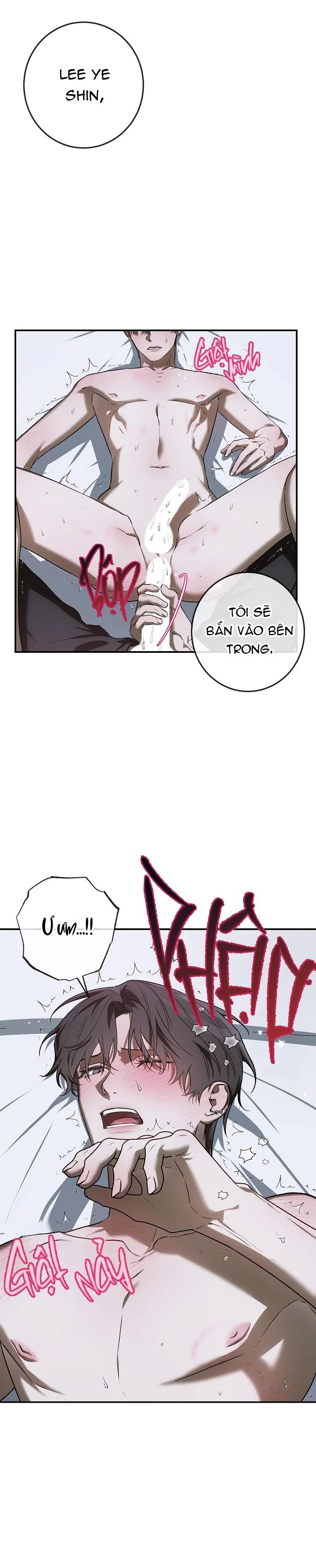 BẢO VẬT Chapter 24 Trang 5