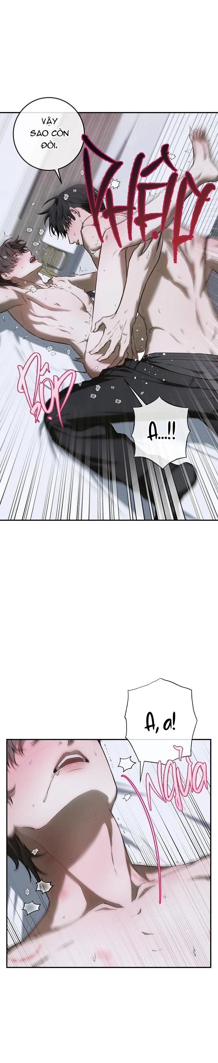 BẢO VẬT Chapter 24 Trang 11