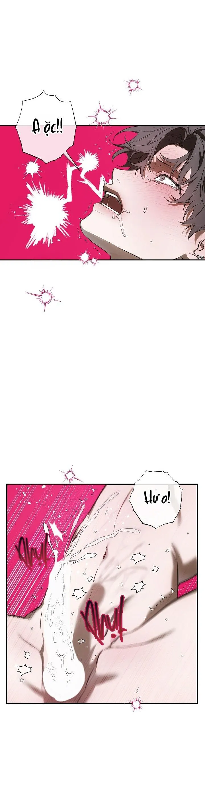 BẢO VẬT Chapter 24 Trang 15