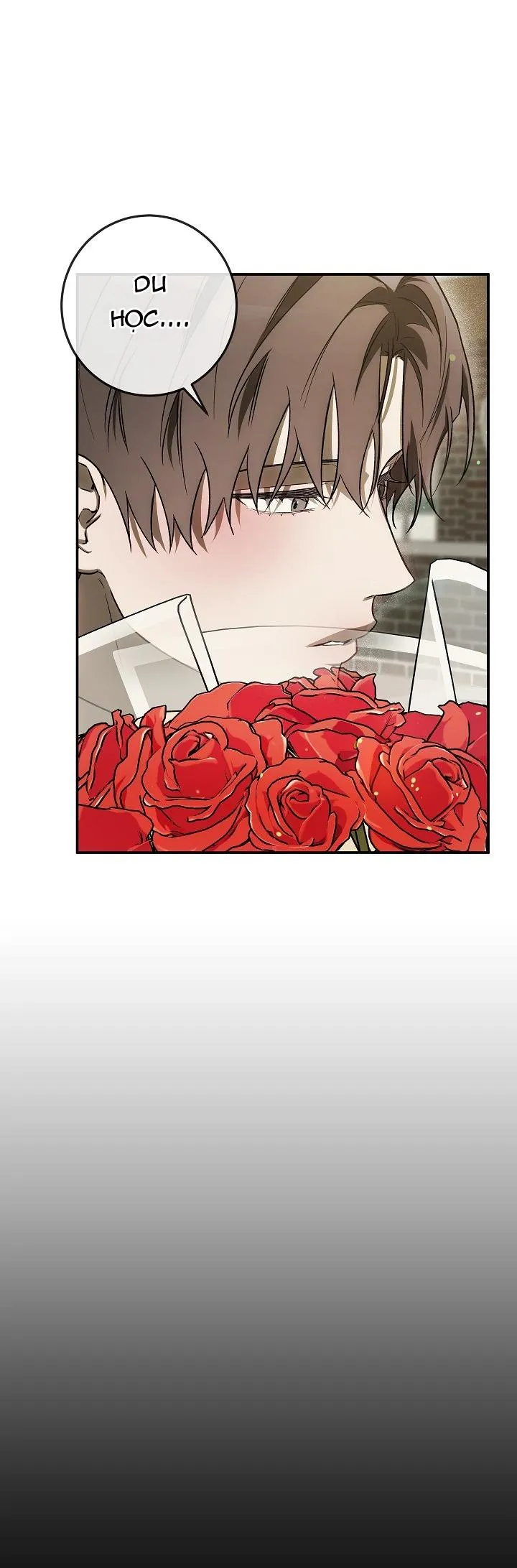 BẢO VẬT Chapter 26 Trang 31