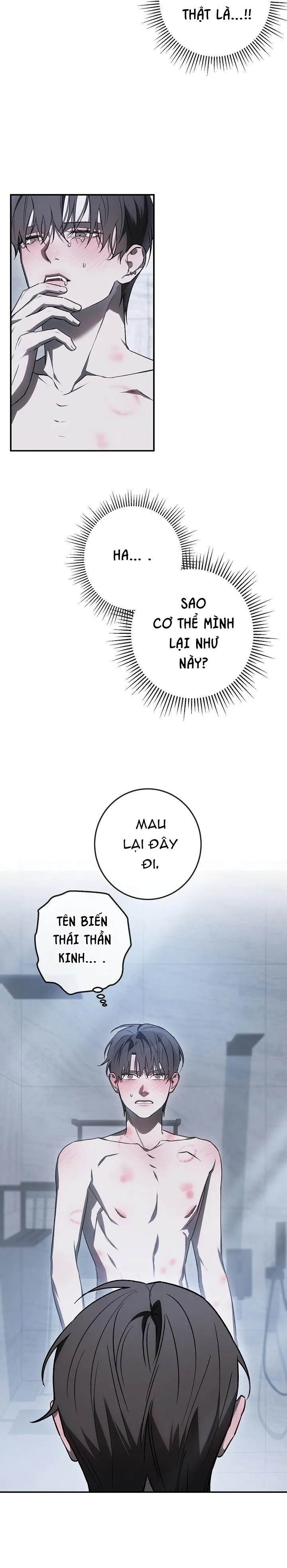 BẢO VẬT Chapter 30 Trang 8