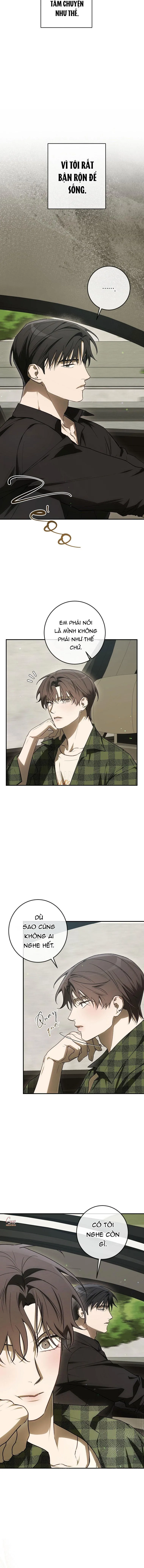 BẢO VẬT Chapter 31 Trang 8