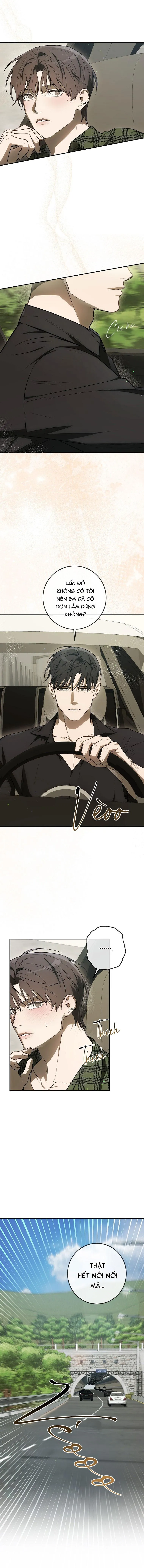 BẢO VẬT Chapter 31 Trang 9