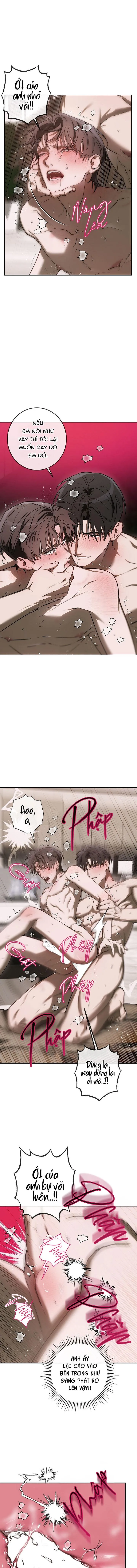 BẢO VẬT Chapter 33 Trang 10