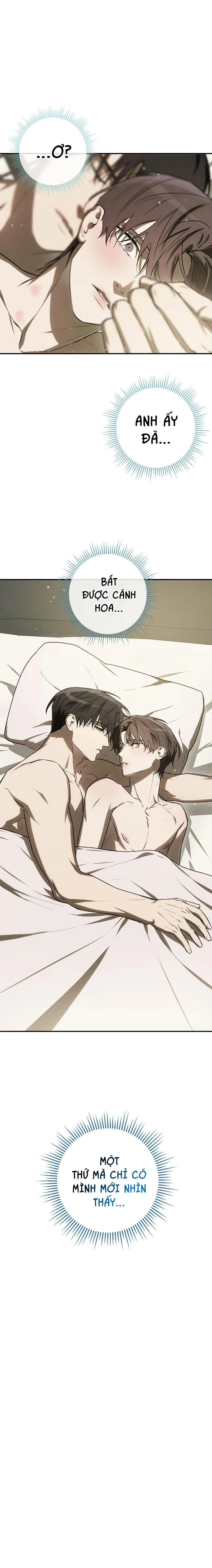 BẢO VẬT Chapter 33 Trang 16